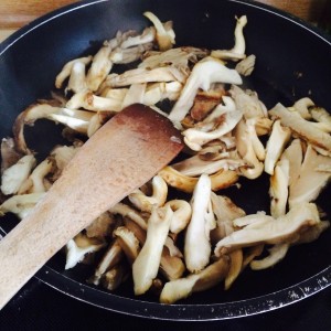 Austernpilze
