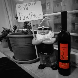 Pinot Noir 2013